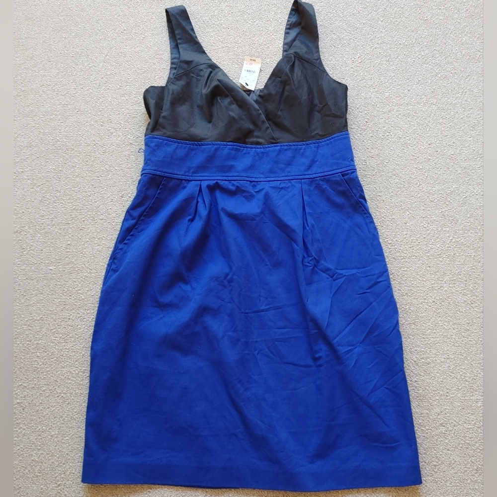 NWT Express color blocked dress in cobalt blue and black